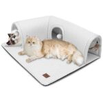 Greenshift Frontpage 47 CATISM Cat Tunnel Rug Deal– The Ultimate Indoor Playground for Cats in 2025